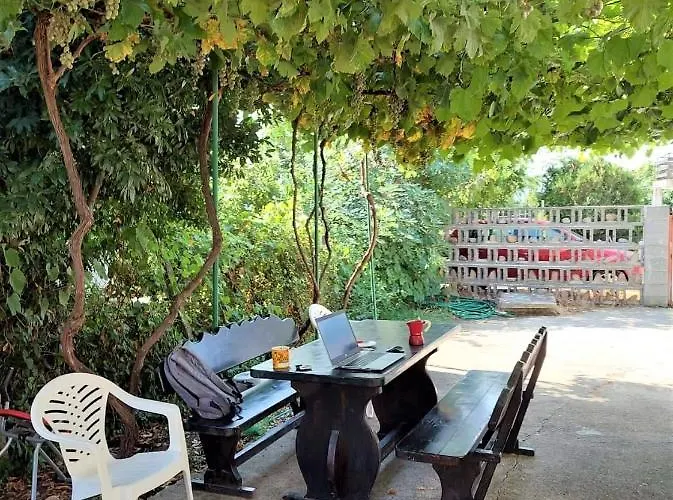 Sofia チェルノモレツ